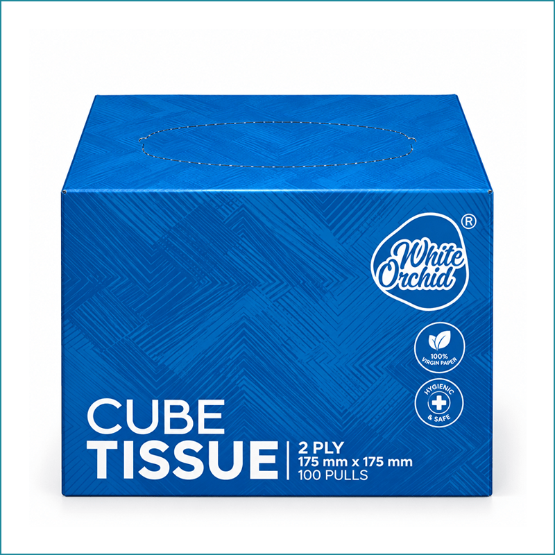 Manufacturer Exporter of Cube Tissue Box in Ahmedabad - India